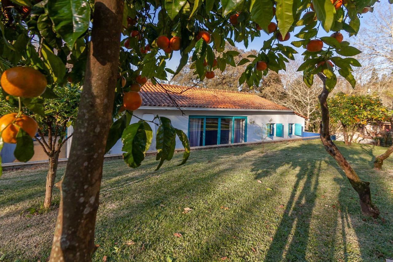 Vale Da Silva Villas - Homes Albergaria-a-Velha Exterior foto
